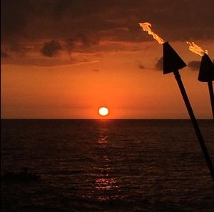 Meet your Posher, Lorraine